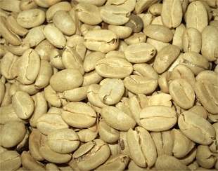 How You Can Make Green Coffee Bean Extract