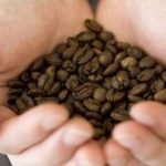 Acidic Properties In Roasted Coffee615