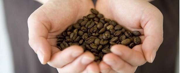 Acidic Properties In Roasted Coffee