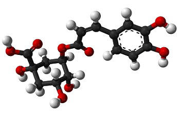 The Advantages Of Chlorogenic Acids In Coffee