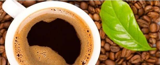 How You Can Make Green Coffee Bean Extract