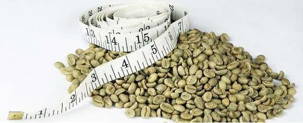 How You Lose Weight With Green Coffee Extract