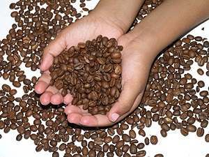 The Role Caffeine Plays In Coffee And In Losing Weight