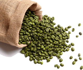 Pure Green Coffee Bean Extract