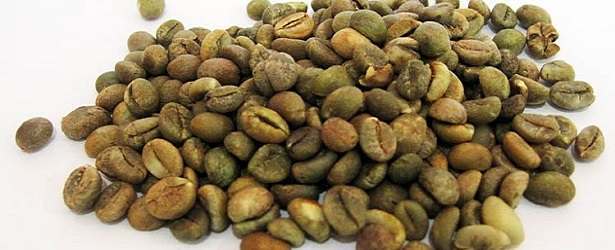 Why Take Green Coffee Bean Extracts?