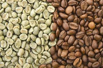 Green Coffee Bean is not Your Average Weight Loss Supplement